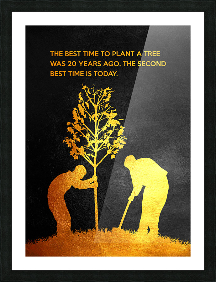 The best time to plant a tree was 20 years ago. The second best time is  now. Chinese Proverb Motivational Wall Art by ABConcepts Wall Art