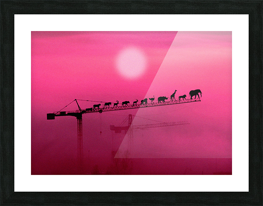 Dying Breed Picture Frame print