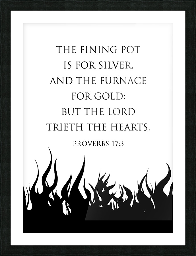 Proverbs 17 3 white Picture Frame print