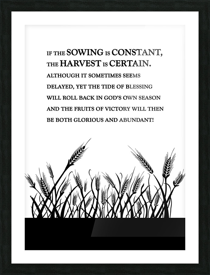 constant sowing white Picture Frame print