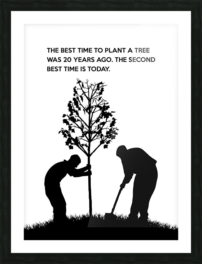 tree planting white Picture Frame print