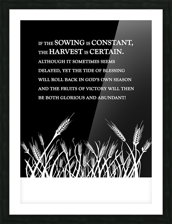 constant sowing black 2 Picture Frame print