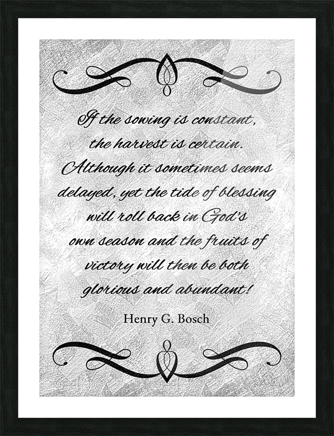 constant sowing certain harvest silver Picture Frame print