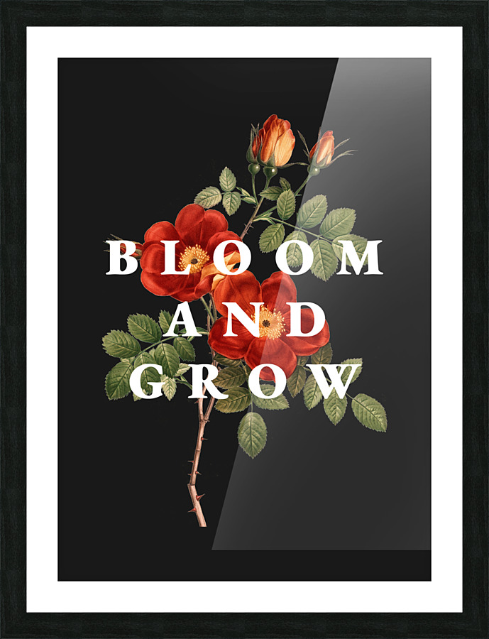 bloom and grow Picture Frame print