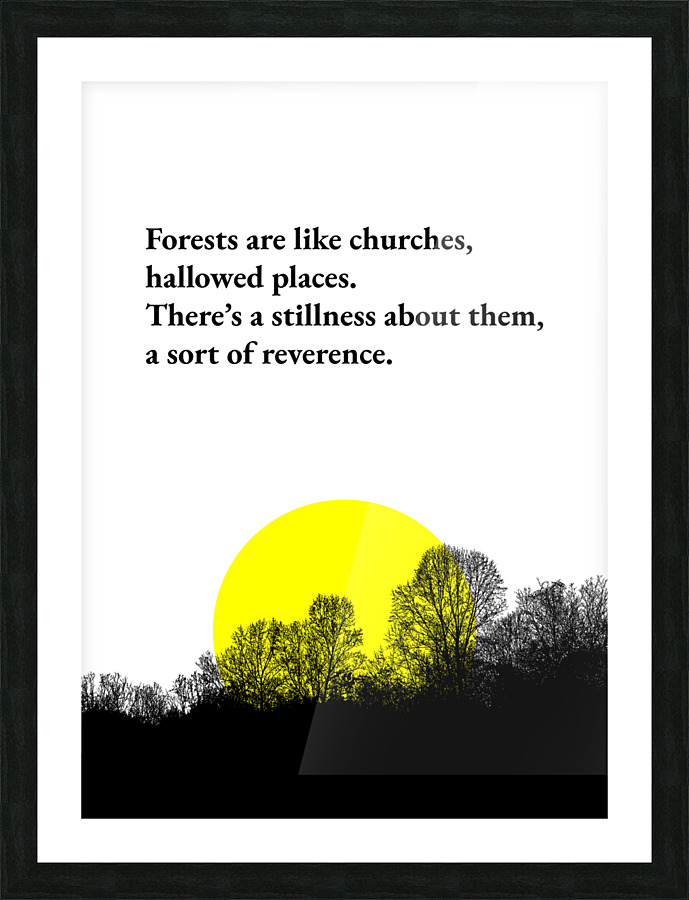 forests 2 Picture Frame print