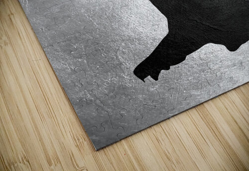 liechtenstein charcoal ABConcepts puzzle