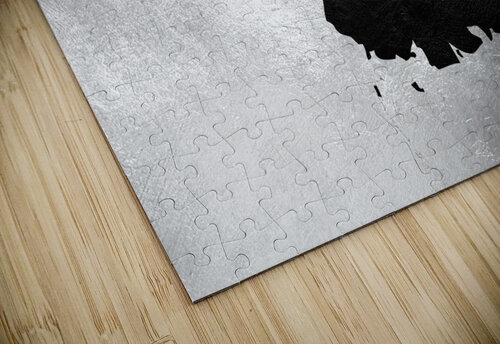 micronesia charcoal ABConcepts puzzle