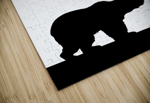 Proverbs 17 12 white ABConcepts puzzle