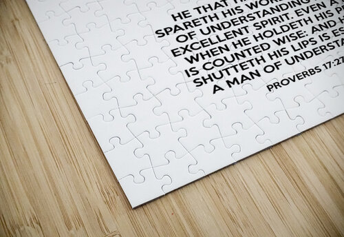 Proverbs 17 27 28 white ABConcepts puzzle