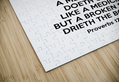 Proverbs 17 22 white ABConcepts puzzle