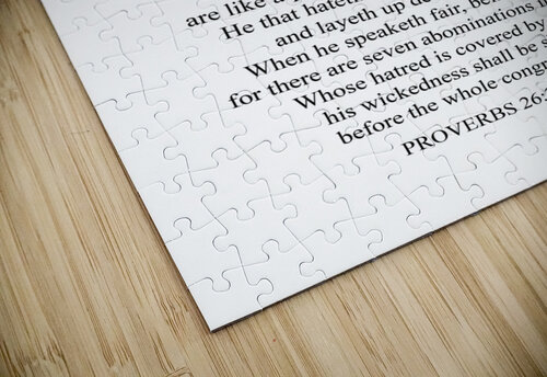 Proverbs 26 23 26 white ABConcepts puzzle