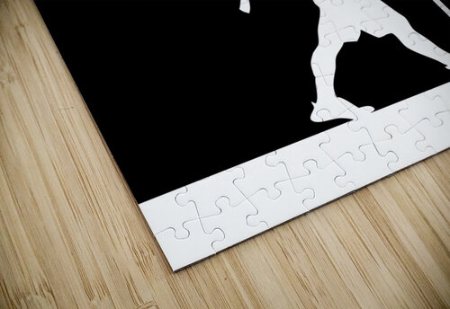 Proverbs 16 9 plain black ABConcepts puzzle