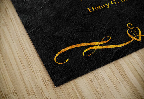 half truth lie gold ABConcepts puzzle
