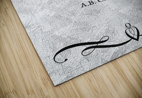 count for eternity silver ABConcepts puzzle