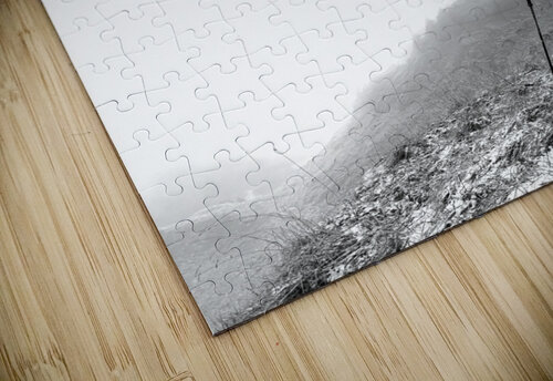 Dont Quit ABConcepts puzzle