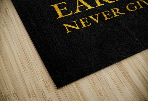 earned never given gold ABConcepts puzzle