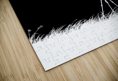 life camera 2 black ABConcepts puzzle