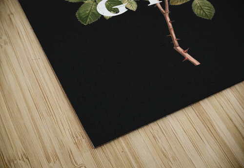 bloom and grow ABConcepts puzzle