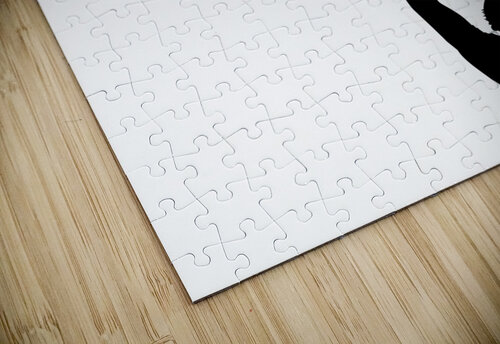 father and son ABConcepts puzzle