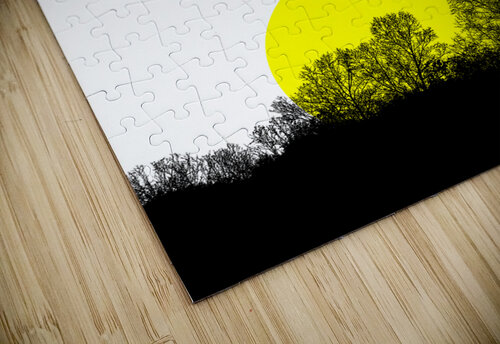 forests 2 ABConcepts puzzle