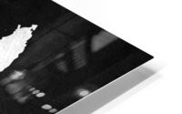 madagascar silver HD Metal print