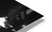 malaysia silver 2 HD Metal print