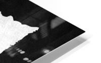 mozambique silver HD Metal print