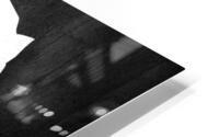 niger silver HD Metal print