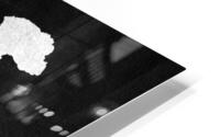 pakistan silver 2 HD Metal print