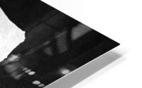 poland silver 2 HD Metal print