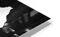 rwanda silver 2 HD Metal print