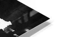 somalia silver HD Metal print