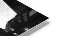 sudan silver 2 HD Metal print