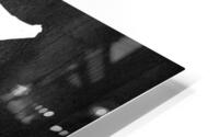 syria silver HD Metal print