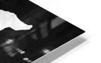 syria silver 2 HD Metal print