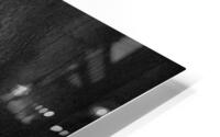 tonga silver HD Metal print