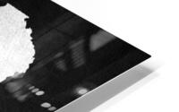 zambia silver 2 HD Metal print