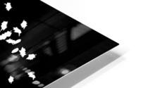 love black HD Metal print