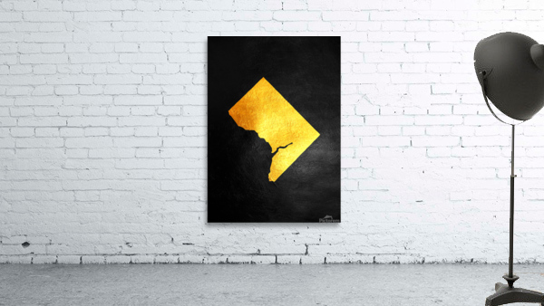 washington dc gold Wall Preview