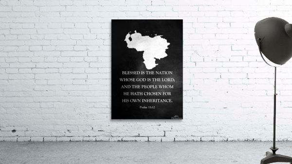 venezuela silver 2 Wall Preview