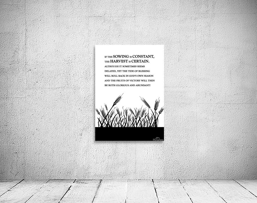 constant sowing white Wall Preview