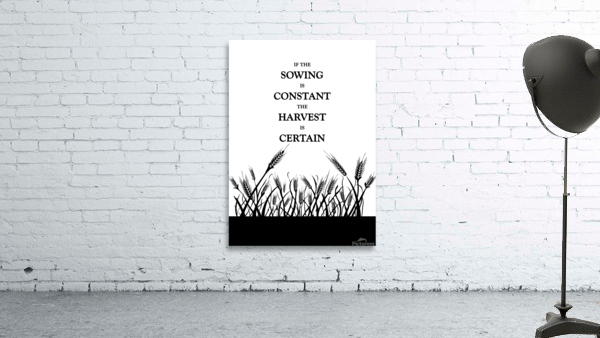 constant sowing plain Wall Preview