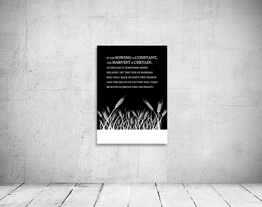 constant sowing black 2 Wall Preview