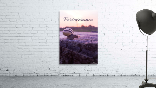 snail perseverance Wall Preview