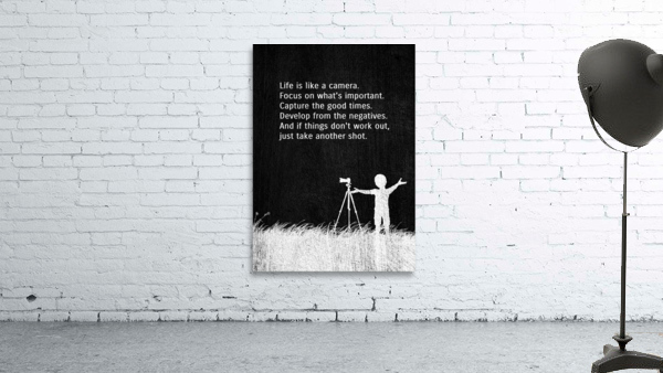 life camera 2 silver Wall Preview