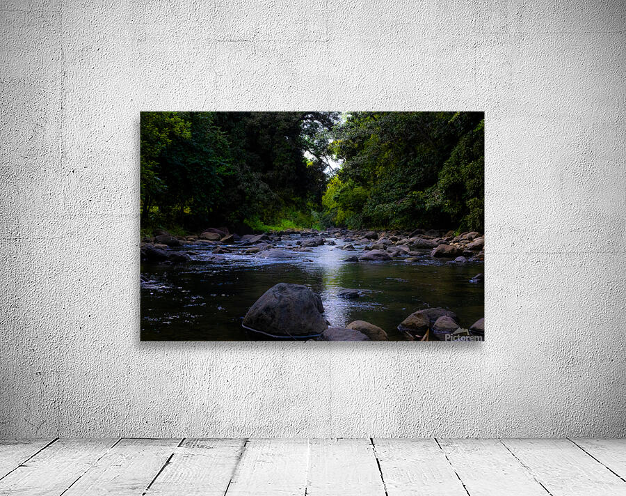 The River Bed Wall Preview