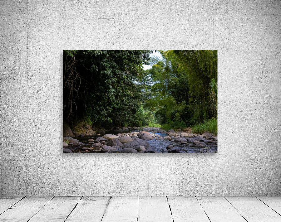 Down The River Wall Preview
