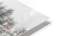 Parc Jarry no.1 HD Metal print