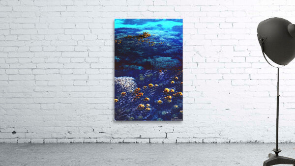 Taking a breath no.2 Wall Preview