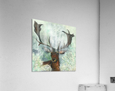 Suddenness Acrylic Print